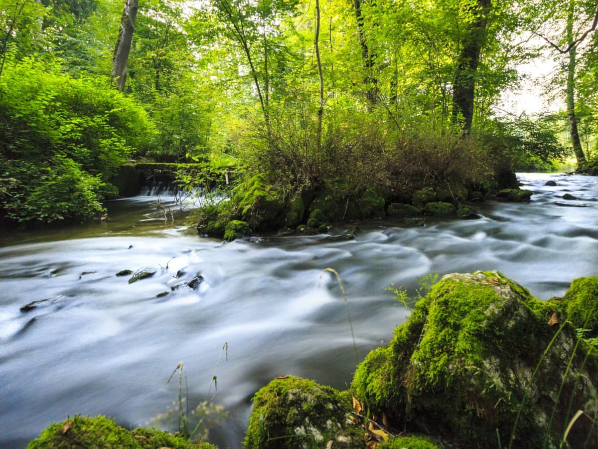 Envilex, cabinet d'avocats spécialisés en droit de l’environnement à Marche-en-Famenne